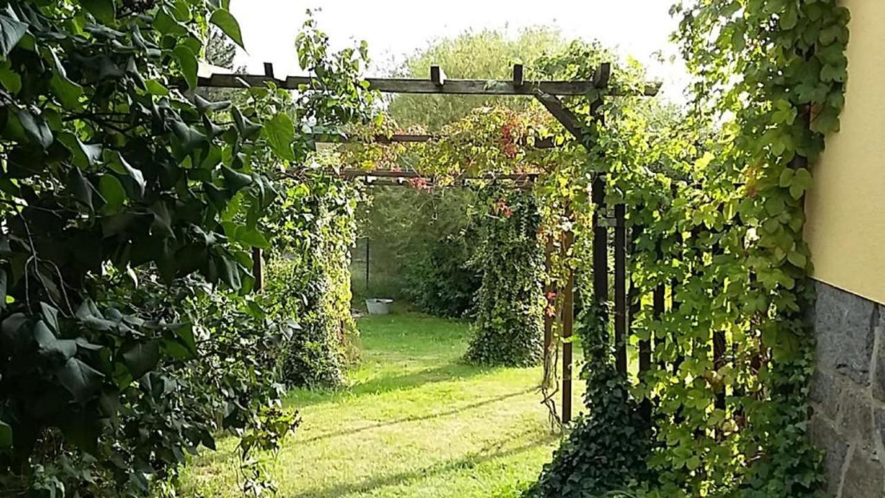Genesungsort Landhaus Dammert Oppach Exteriör bild